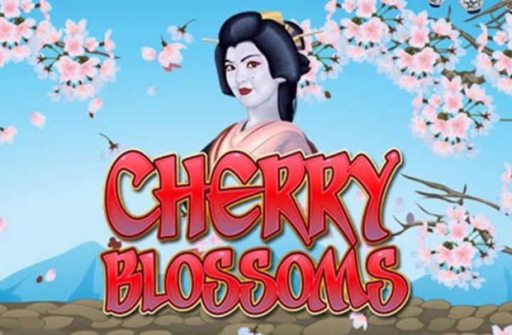 Cherry Blossoms video slot machine screenshot