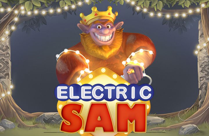 Electric Sam video slot game screenshot