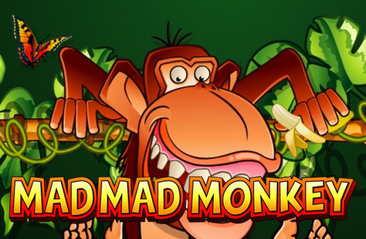 Mad Mad Monkey video slot machine screenshot