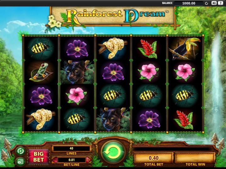 Rainforest Dream video slot machine screenshot